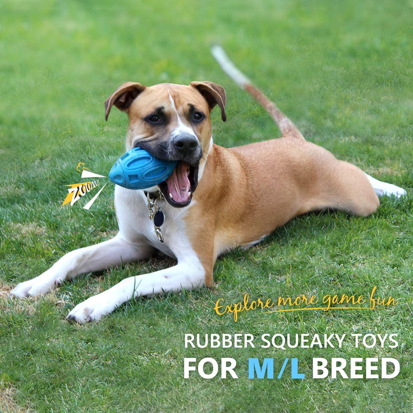 Rubber Ball for Dogs