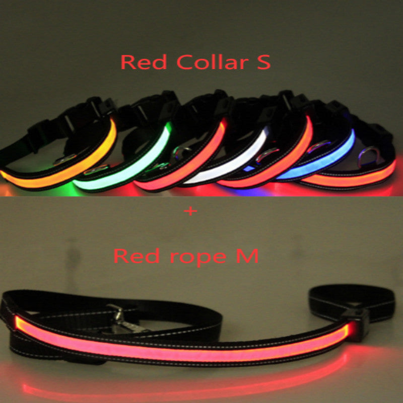 Fluorescent dog collar