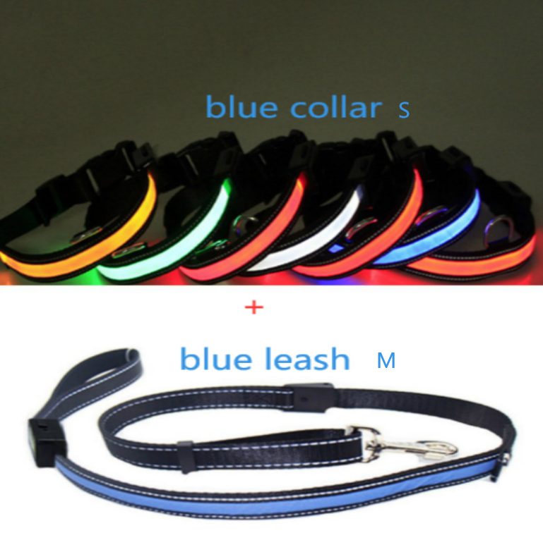 Fluorescent Dog Collar 