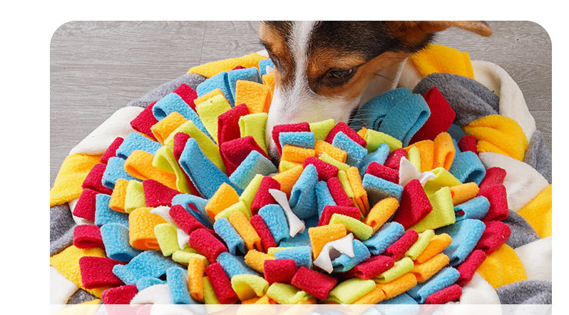 Dog Candy Sniffing Pad 