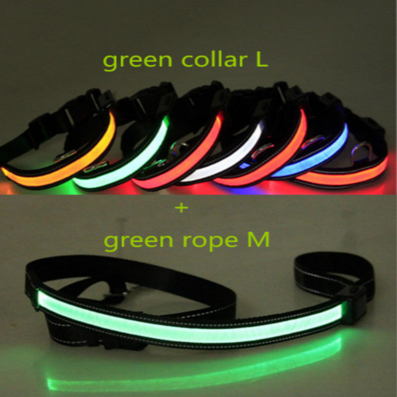 Fluorescent dog collar