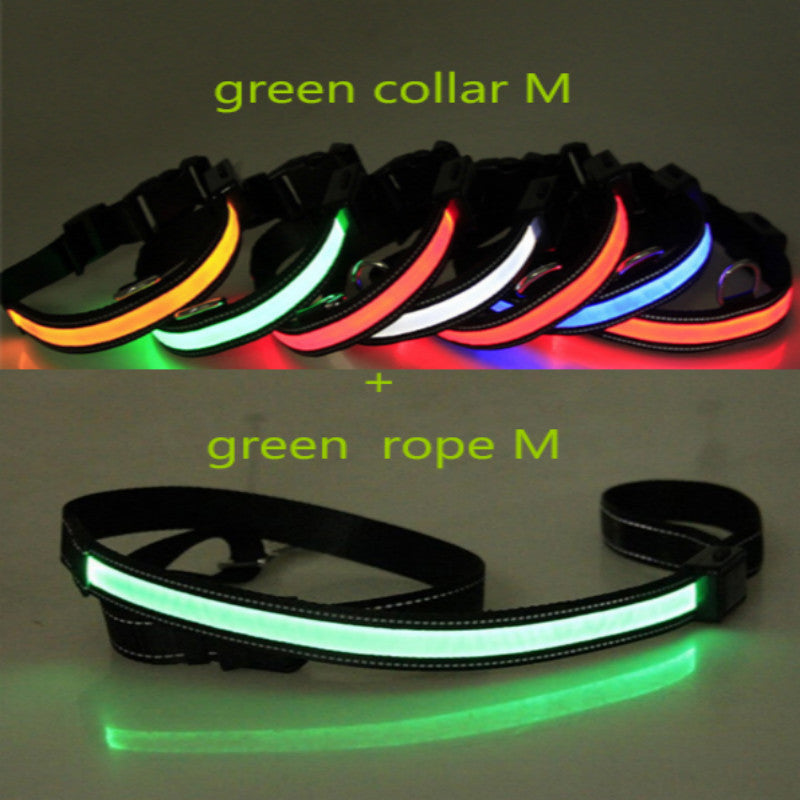 Fluorescent dog collar