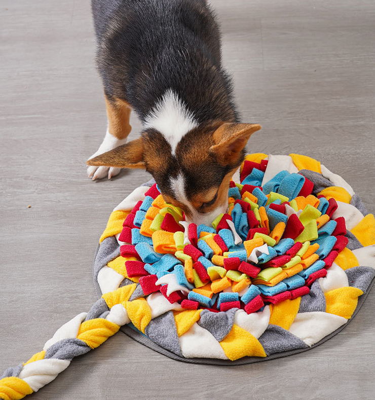 Dog Candy Sniffing Pad 