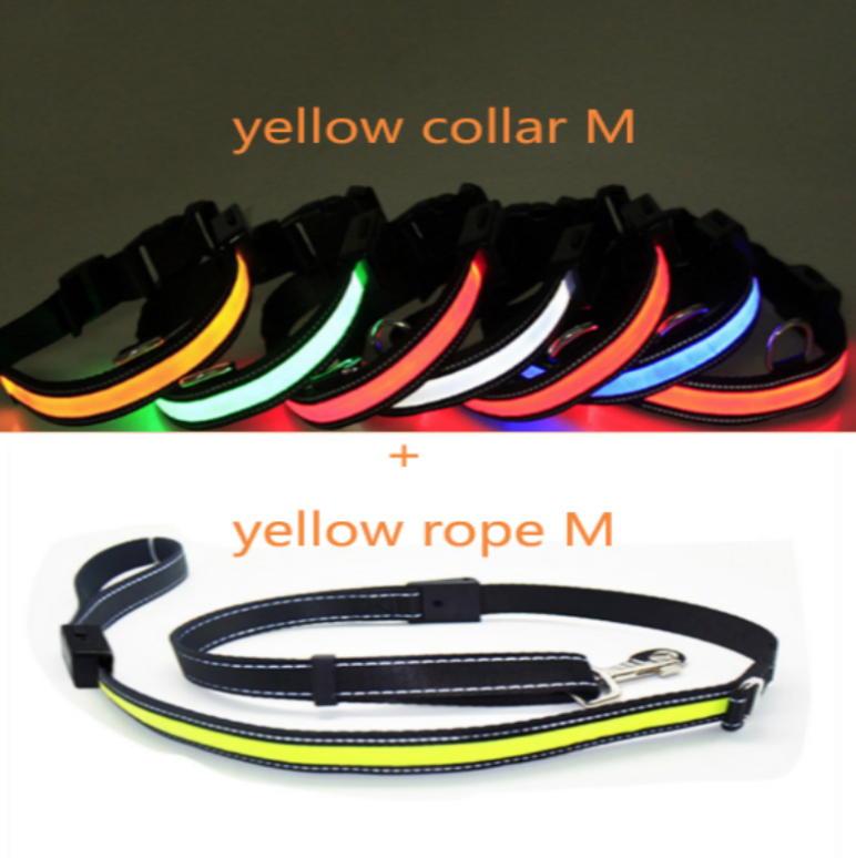 Fluorescent Dog Collar 