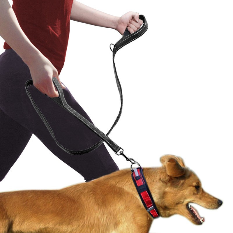 Double Handle Pet Leash 