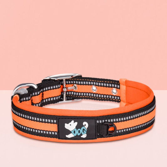 Nylon Collar Leash