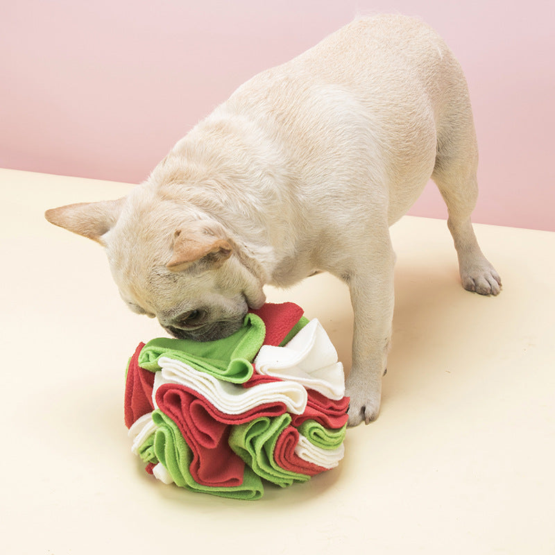 Dog Sniffing Training Blanket