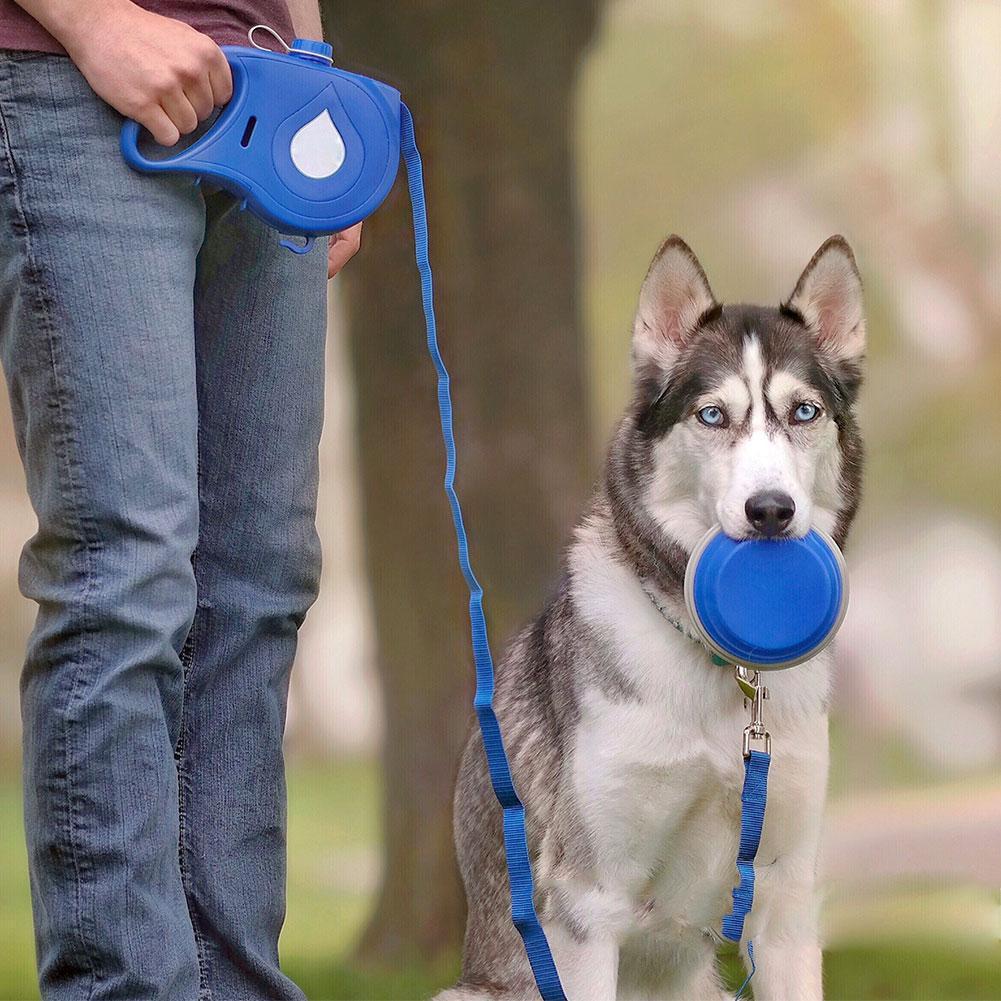 Pet Traction Rope